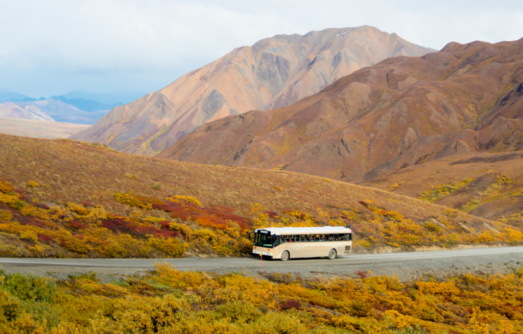 denali national park bus tour