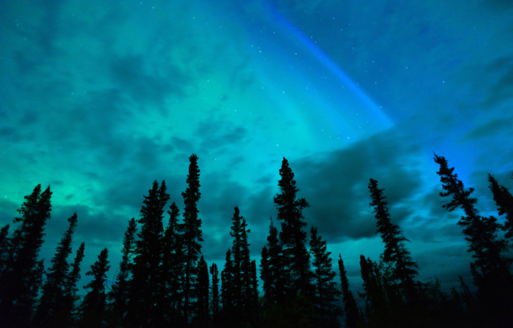 denali northern lights