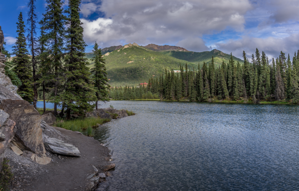 horseshoe trail in denali