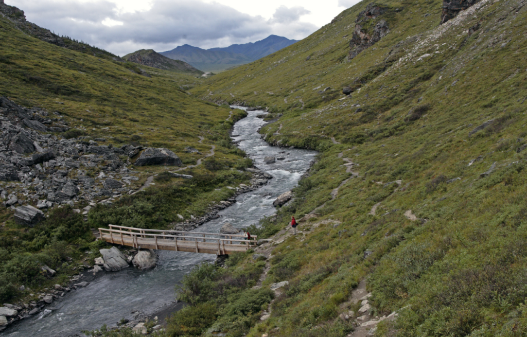 savage river trail in Denali