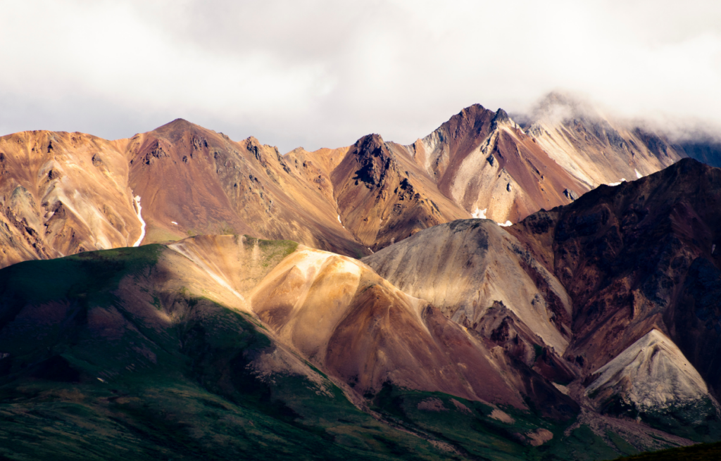 polychrome pass