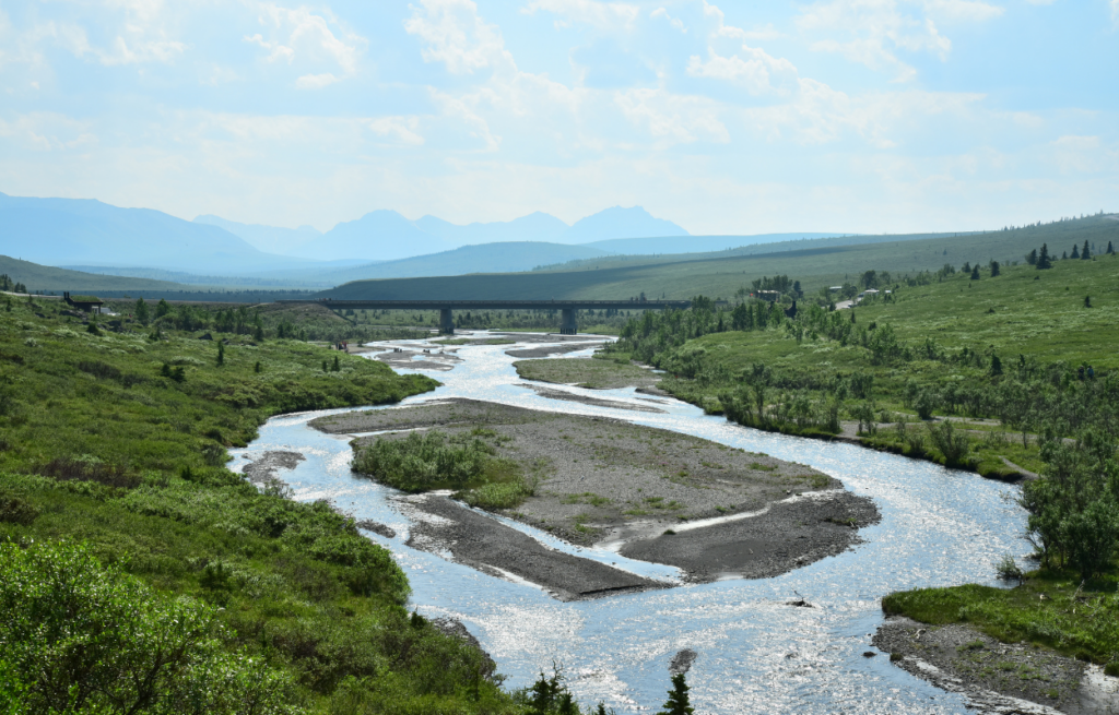 top denali location savage river